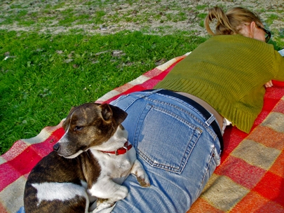 The leader on the lookout