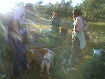 water water everywhere