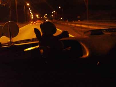 a strange fellow traveler:)