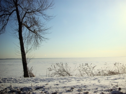 montreal is an island