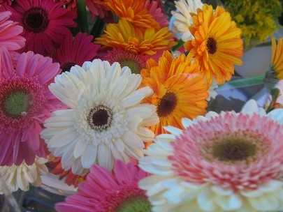 Starting my work week with flowers