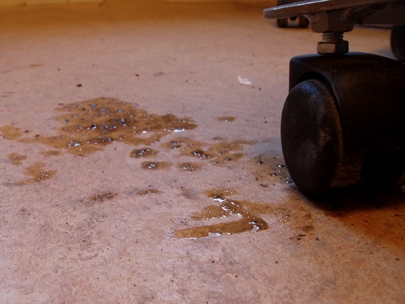 when winter comes inside the office