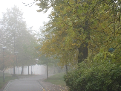 Foggy walks to work
