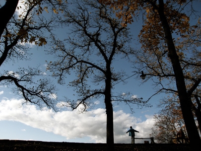 oslo discoverings #4