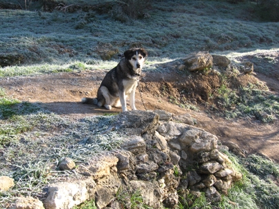 lotta in natural habitat