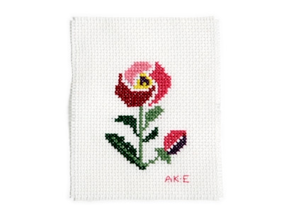 some documentation of last year #3