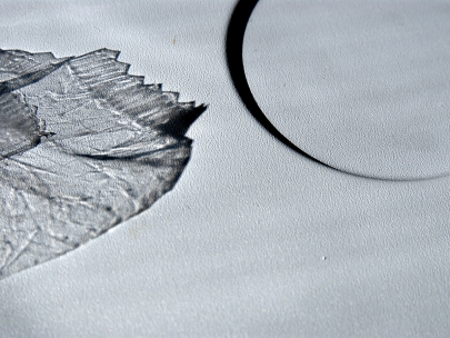 moonlight shadow leads us to madrid