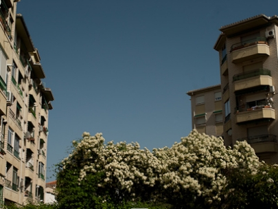 cold hard sun (zona norte, granada)