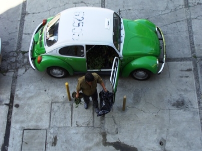 Moving my garden Part 2