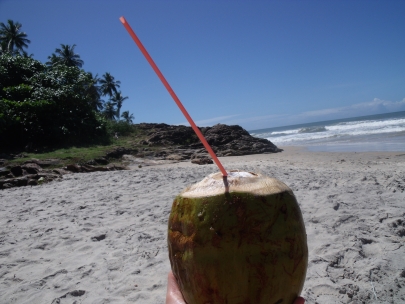 thank you fresh coco