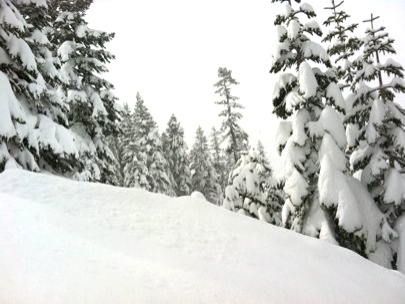 Best snowstorms I ever experinced - they keep on happening at night, and mornings look like this :)