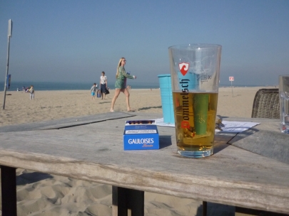 can you elaborate on that point you made on the later Wittgenstein/