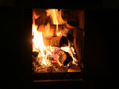 My fire