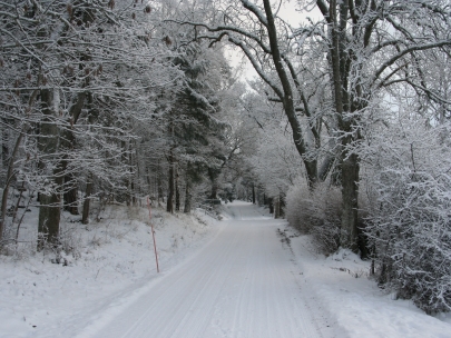 Winter road