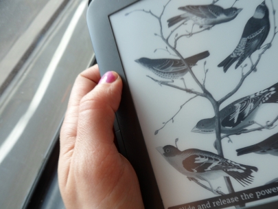 on my way home after work by bus