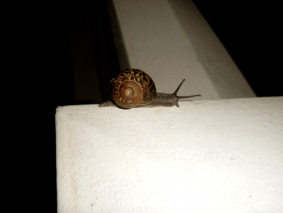 friends walking in the night