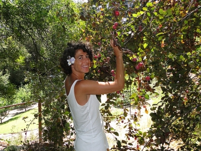 Harvesting plums! I can't be any happier