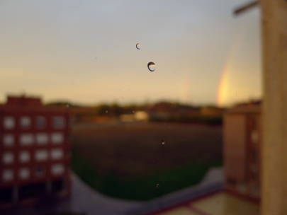 a tear that created a rainbow...