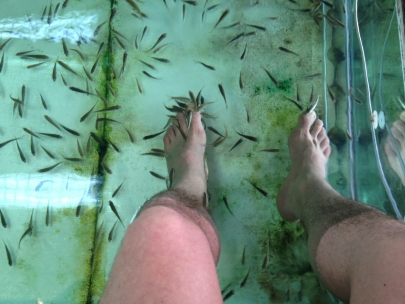 fish and feet