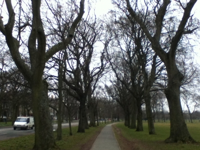 this walk. felt. heavier.