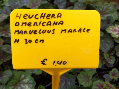 garden time all the time