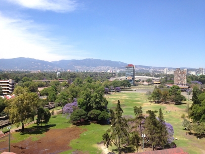 Purple view from my office 