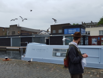 mark feeds the gulls